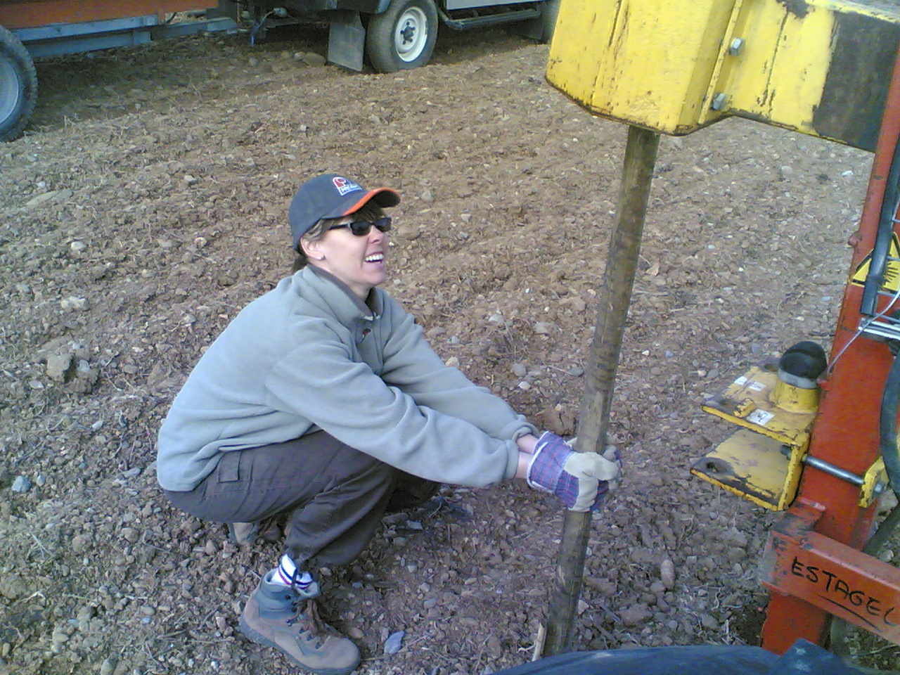 Delphine tenant les piquets des futurs plants d'oliviers