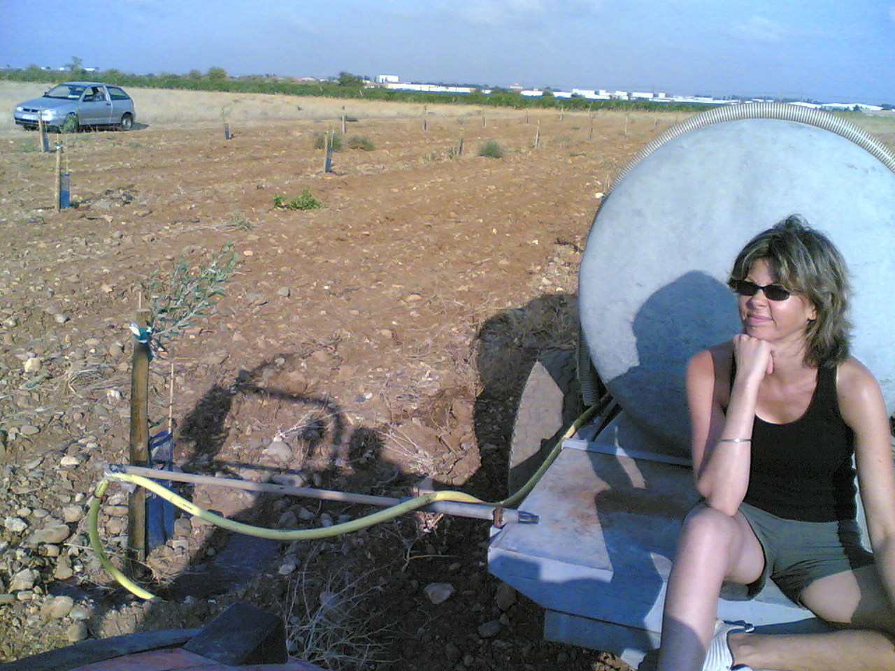 arrosage jeunes oliviers